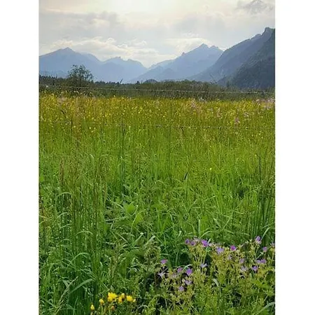 Obergasse Apartman *